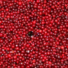 IQF Frozen Fruits of Lingonberry